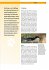 Labrador Retriever - Bild 8