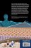 Statistical Mechanics of Cellular... - Bild 2