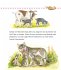 Unkaputtbar: Erstes Wissen: Tiere und... - Bild 6
