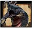 Risen - Bild 11
