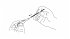Pelikan Minen Bleistift griffix HB 2 x... - Bild 3