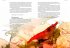 Art für Art: Zwerggarnelen - Bild 4