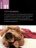 Best of Kamasutra - Bild 4
