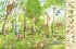 Mein erstes Wimmelbuch - Im Wald - Bild 5