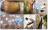 TASCHEN's Favourite Spas - Bild 6