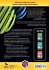 Differentiated Instructional Strategies... - Bild 2
