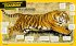 National Geographic Kids Everything Big... - Bild 3