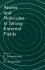 Atoms and Molecules in Strong External... - Bild 2