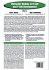 Molecular Biology of B-Cell and T-Cell... - Bild 2
