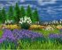 Wildlife Park 3 (PC) - Bild 6
