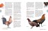 The Chicken Encyclopedia - Bild 3