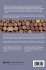 The SAGE Handbook of the Philosophy of... - Bild 2