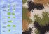 Papierflieger-Set - Bild 5