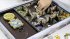 Schnappt Hubi! (Kinderspiel des Jahres... - Bild 12