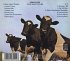 Atom Heart Mother - Bild 2