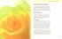 Chakra-Energie-Massage - Bild 5