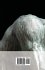 On the Fourfold Root of the Principle... - Bild 2