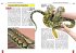 Der Netzpython - Bild 4