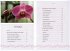 Faszinierende Orchideen (Set mit Buch,... - Bild 2