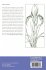 A Guide to Species Irises - Bild 2