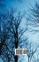 The Seventh Day Sabbath, a Perpetual... - Bild 2