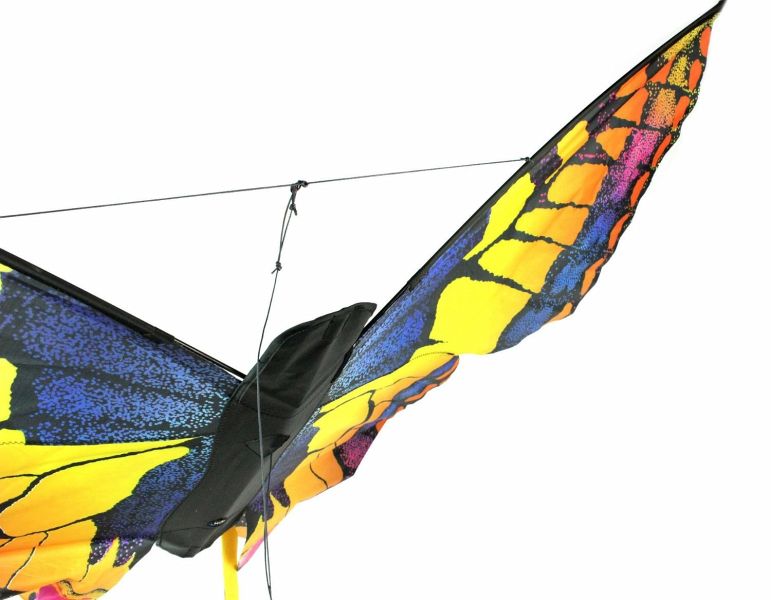 Invento 106542 - Butterfly Kite Swallowtail ""L"", Schmetterling Drachen" -  Bei bücher.de immer portofrei