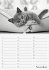 Geburtstagskalender Katzenwelt... - Bild 12