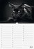 Geburtstagskalender Katzenwelt... - Bild 7