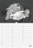 Geburtstagskalender Katzenwelt... - Bild 8