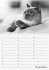 Geburtstagskalender Katzenwelt... - Bild 10