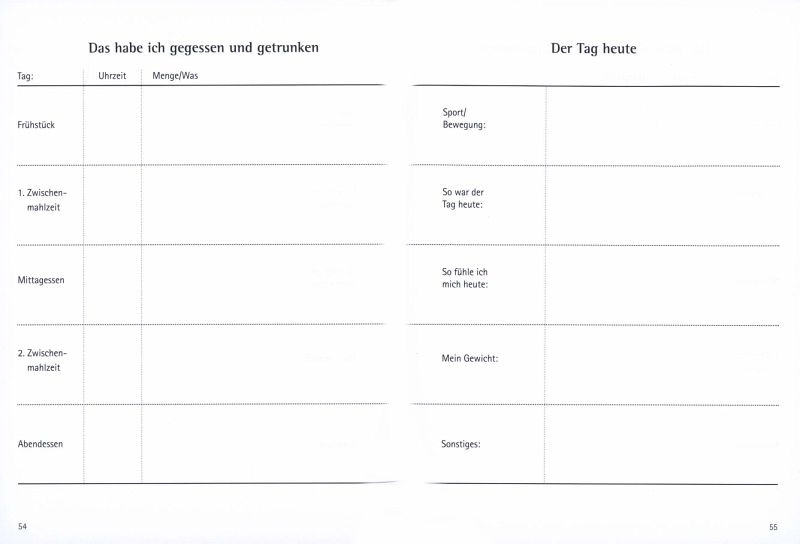 view die wirtschaftliche bewertung der