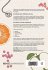 The Physical Care of People with Mental... - Bild 2