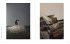 Fotogalerie Fotogalerie