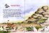 Tafiti und die Reise ans Ende der Welt... - Bild 6