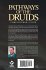 Pathways of the Druids - Bild 2
