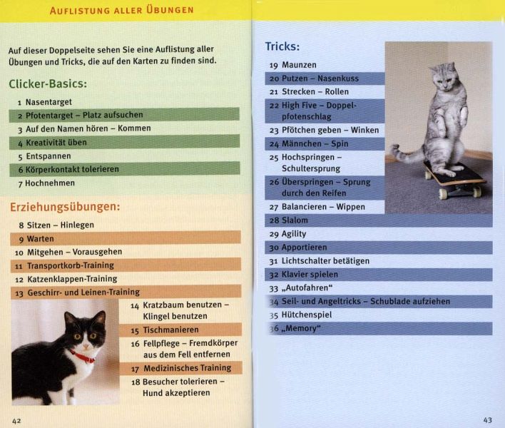 Katzen-Clicker-Box von Birgit Rödder portofrei bei bücher.de bestellen