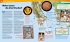 Die alten Griechen / Was ist was Bd.64 - Bild 5
