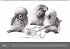owls & friends Immerwährender Kalender... - Bild 6