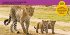 National Geographic Kids Look & Learn:... - Bild 2