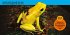 National Geographic Kids Look & Learn:... - Bild 3