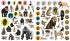 Eyelike Stickers: Wild Animals - Bild 2