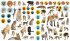 Eyelike Stickers: Wild Animals - Bild 3