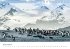 ANTARCTICA UK-Version (Table Calendar... - Bild 12
