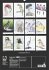 Vogel Illustrationen (Wandkalender... - Bild 14