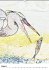 Vogel Illustrationen (Wandkalender... - Bild 9