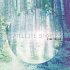 Pine Trails - Bild 2