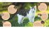 Katzensprache - Bild 4