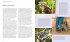 Katzensprache - Bild 6