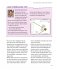 Feng Shui - Bild 13