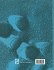 Slow Virus Infections of the Central... - Bild 2
